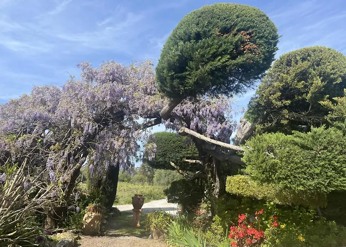 La Maison De Justine